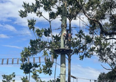 Kids in the trees having an adventure.